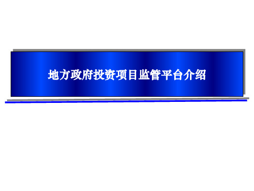 政府投资项目审计监管平台介绍