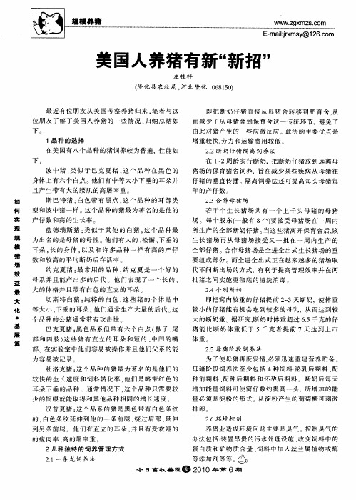 美国人养猪有新“新招”