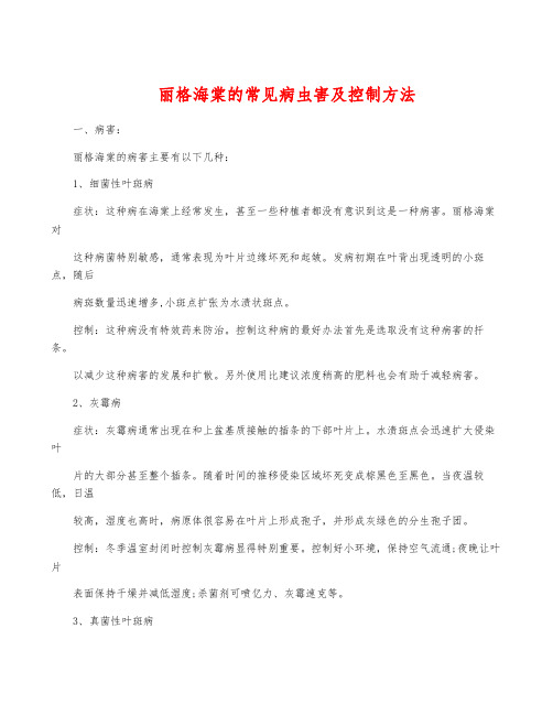 丽格海棠的常见病虫害及控制方法