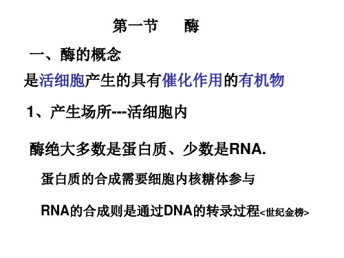 高二生物胞外酶