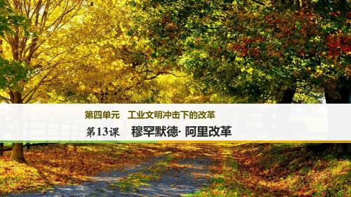 2017-2018学年高中历史岳麓版选修1课件：第四单元 工业文明冲击下的改革 第13课