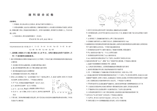 2020届四川省攀枝花市高三上学期期中考试理综试卷 PDF版