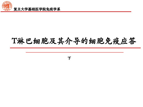 免疫学课件4.T细胞及其介导的细胞免疫 下