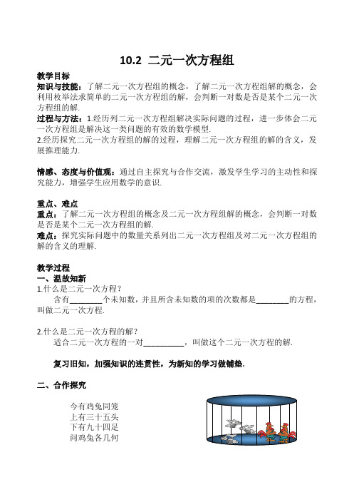 新苏科版七年级数学下册《10章 .二元一次方程组  10.2 二元一次方程组》公开课教案_23