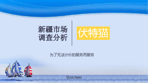 新疆电力市场分析20190811ppt课件