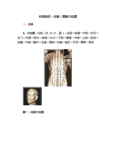 经络知识：任脉｜督脉穴位图