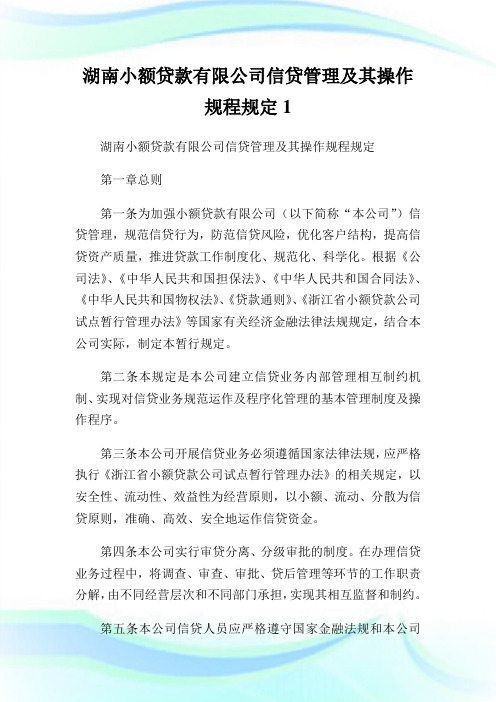 湖南小额贷款有限公司信贷管理及其操作规程规定1.doc