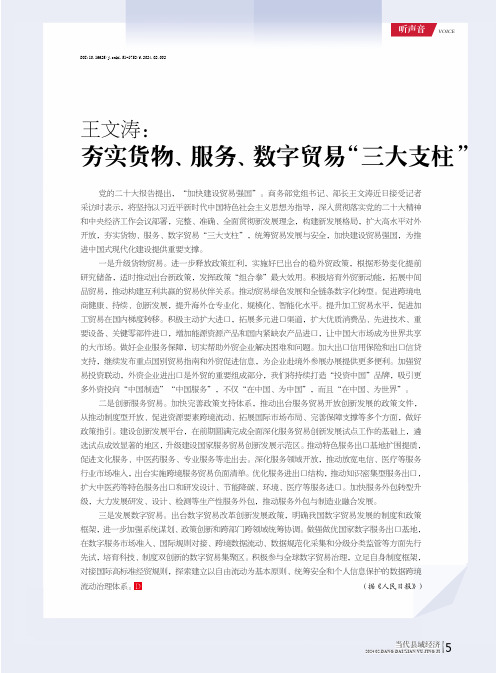 王文涛：夯实货物、服务、数字贸易“三大支柱”