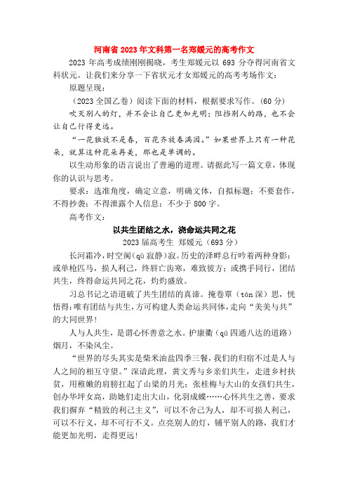 河南省2023年文科第一名郑媛元的高考作文