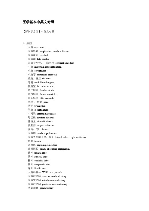 医学基本中英文对照