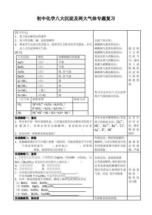 中考化学-复分解反应中的八大沉淀和两大气体