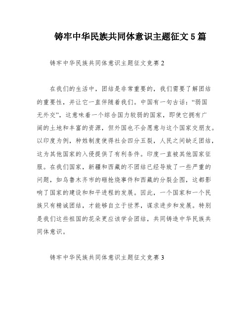 铸牢中华民族共同体意识主题征文5篇