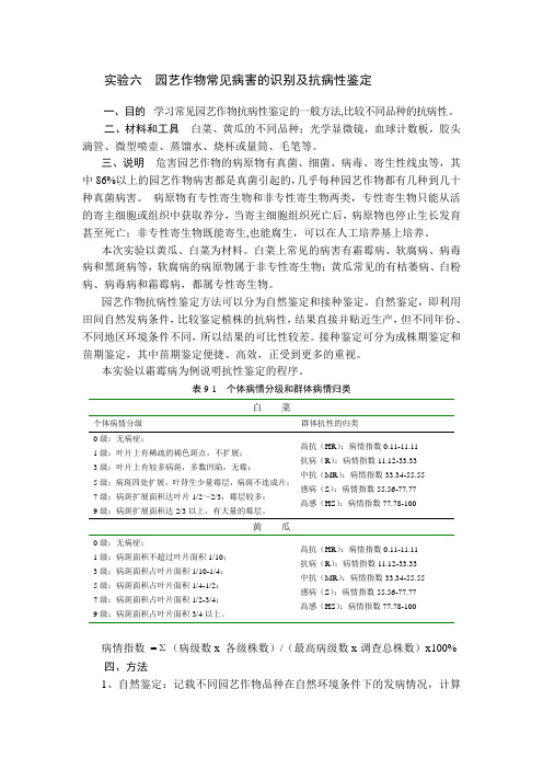 实验六 园艺作物常见病害的识别及抗病性鉴定