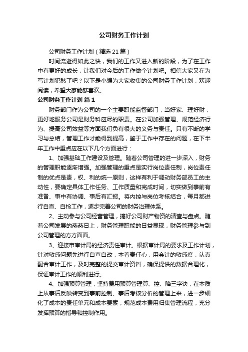 公司财务工作计划（精选21篇）