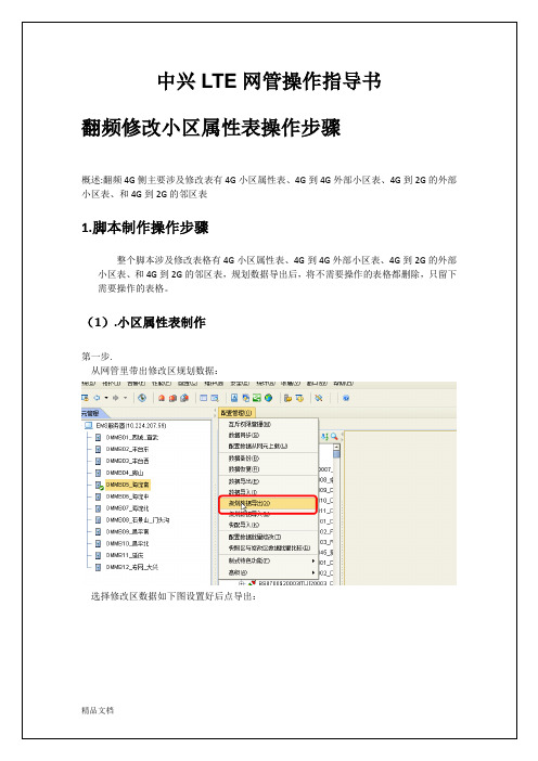 中兴LTE网管操作指导书(最全)