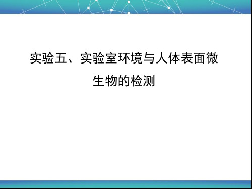 5实验室环境与人体表面微生物的检测