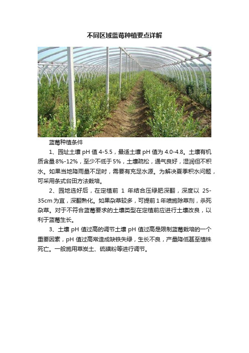 不同区域蓝莓种植要点详解