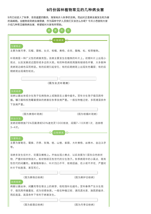 9月份园林植物常见的几种病虫害