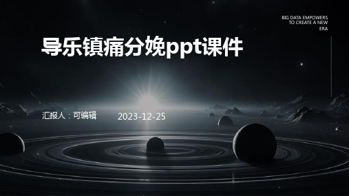 导乐镇痛分娩PPT课件 (2)