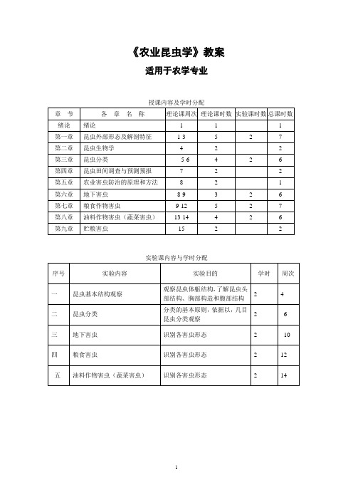 大学 考研 笔记 教案 《农业昆虫学》教案(农学专业)(南山)