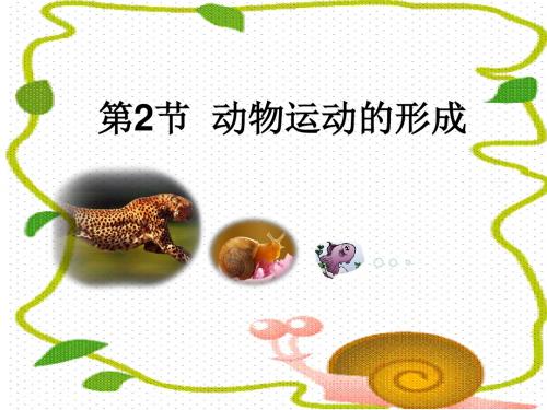 北师大版_15.2动物运动的形成 PPT课件