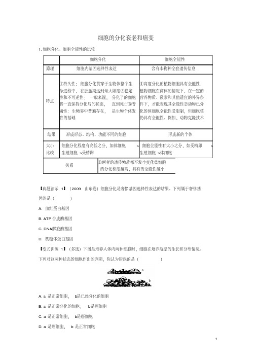 江苏省邳州市第二中学高二生物细胞的分化衰老和癌变导学案苏教版