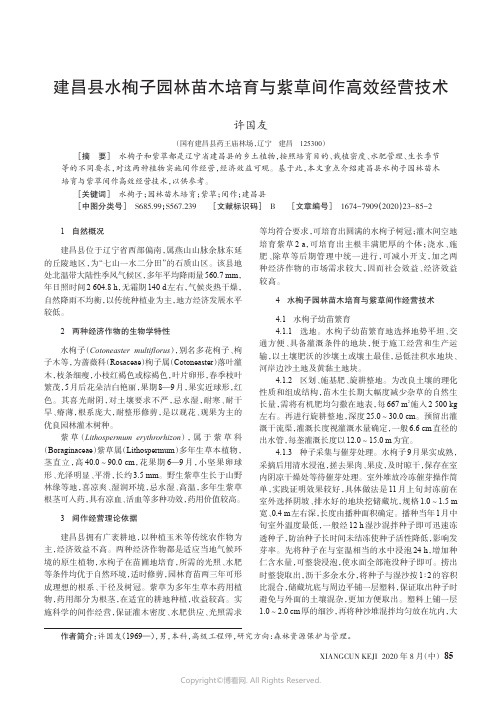 建昌县水栒子园林苗木培育与紫草间作高效经营技术