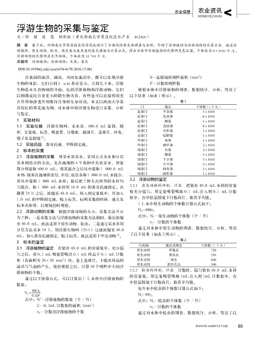 浮游生物的采集与鉴定