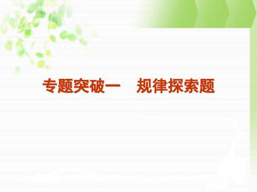 专题突破1 规律探索题