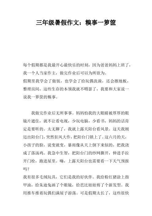 三年级暑假作文:糗事一箩筐