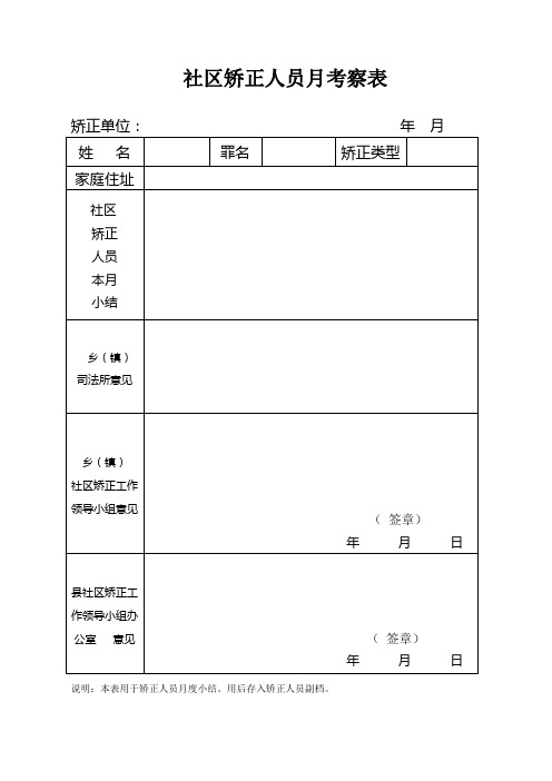 社区矫正对象月考察表