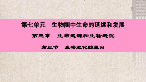 平定县第五中学八年级生物下册第七单元第三章第三节生物进化的原因课件新版新人教版1