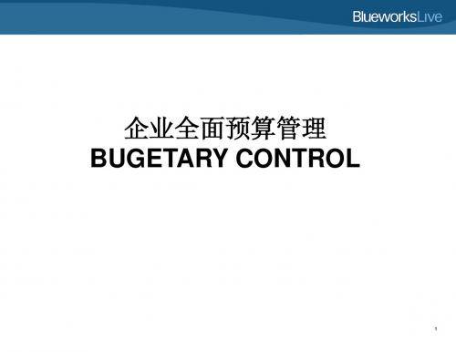 01-Budgetary Control概述(全面预算管理)