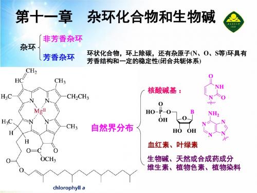 有机化学——第11章杂环化合物和生物碱