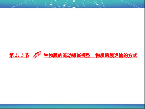 生物膜的流动镶嵌模型 物质跨膜运输的方式 课件