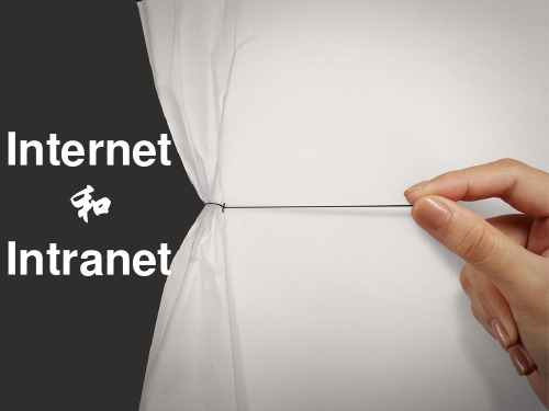 Internet  和 Intranet