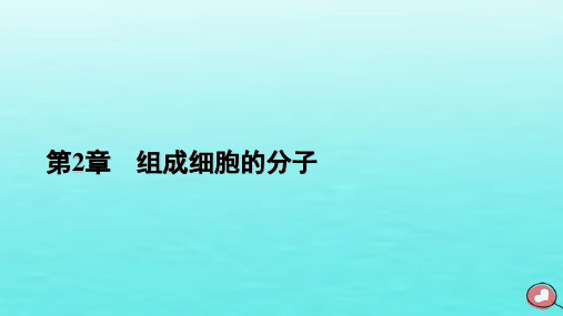 新教材2023年高中生物 第2章 第4节 蛋白质是生命活动的主要承担者课件 新人教版必修1