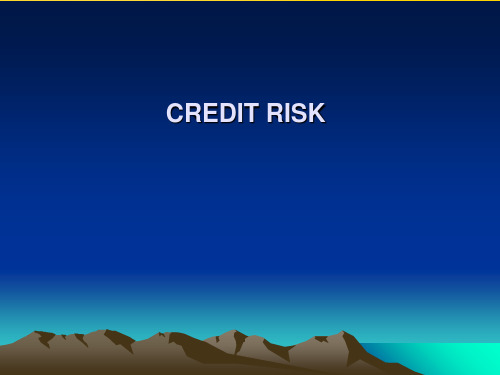 Credit Risk讲稿PPT资料