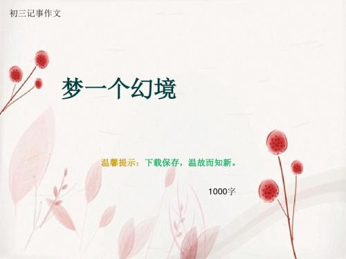 初三记事作文《梦一个幻境》1000字(总13页PPT)