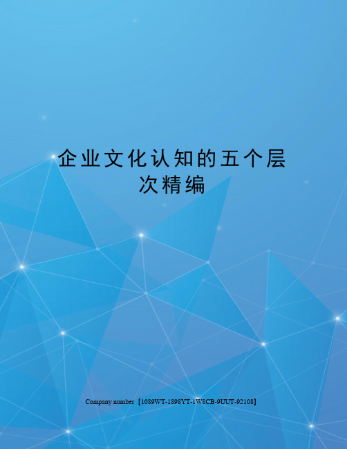 企业文化认知的五个层次精编