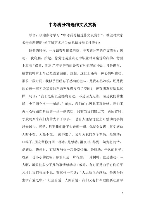 中考满分精选作文及赏析