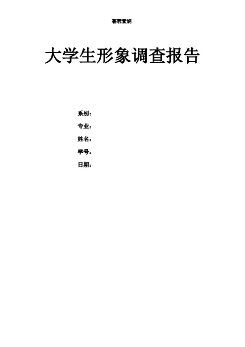 暮蓉紫娴大学生形象调查报告