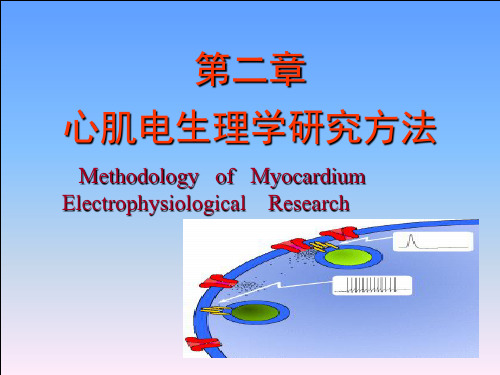 电生理研究方法