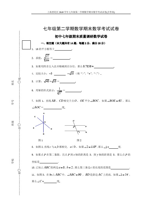 上海普陀区2019学年七年级第二学期数学期末数学考试试卷(含答案)