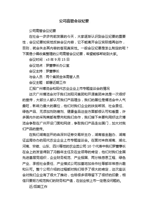 公司高管会议纪要