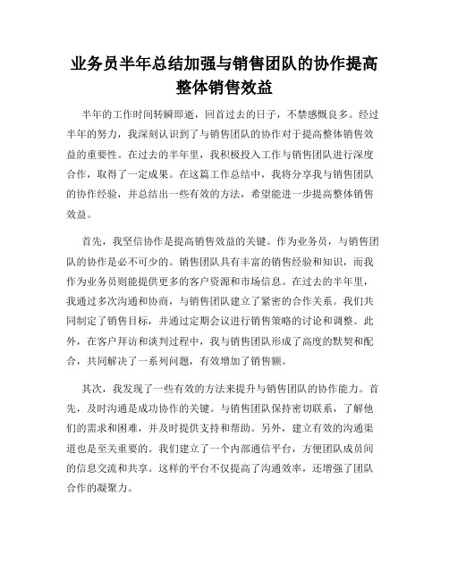 业务员半年总结加强与销售团队的协作提高整体销售效益