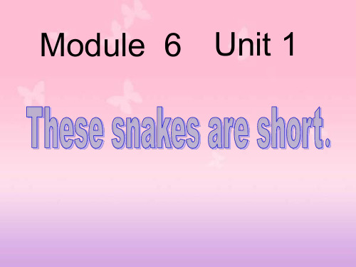 《These snakes are short》PPT课件-外研版一年级英语下册