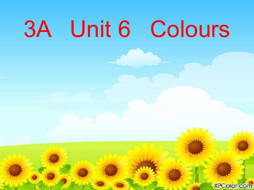 3A Uint6 Colours— 赵静