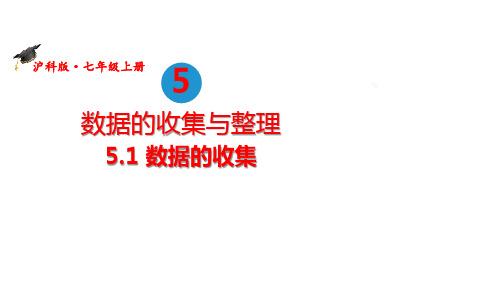 5.1数据的收集课件沪科版数学七年级上册