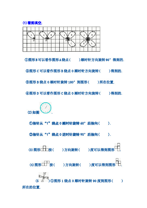 图形的变换练习题